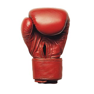 Fight Assault Charges